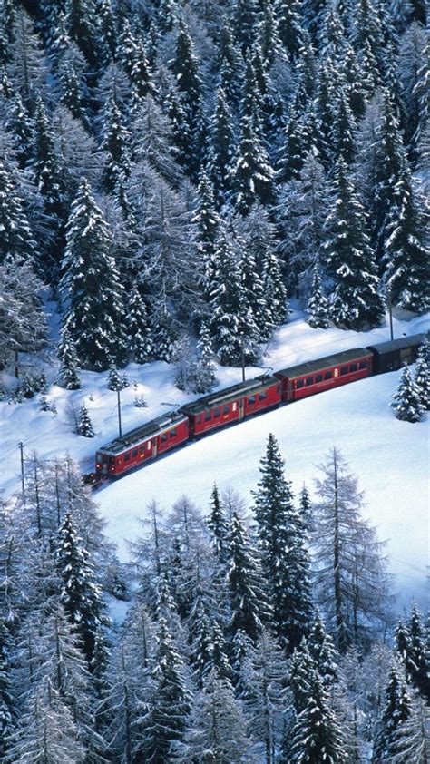 Bernina express go up along Valposchiavo forest to pass near Cavaglia ...