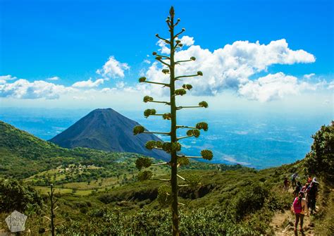 El Salvador: Hiking Santa Ana Volcano | FinnsAway travel blog