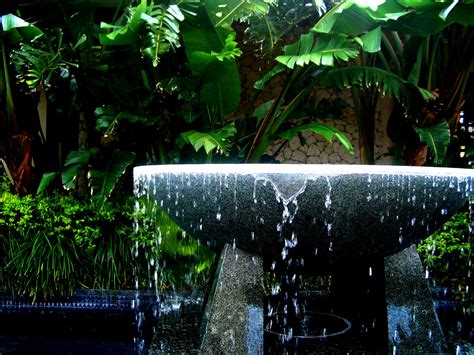 Fountain of Youth Free Photo Download | FreeImages