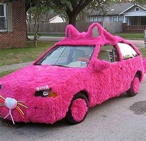 Fuzzy pink cat car : r/ATBGE