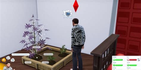 All You Should Know About Sims 4 Drug Mod - Gazettely