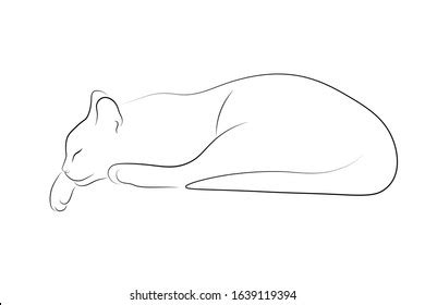 Sleeping Cat Line Drawing Royalty-Free Images, Stock Photos & Pictures | Shutterstock