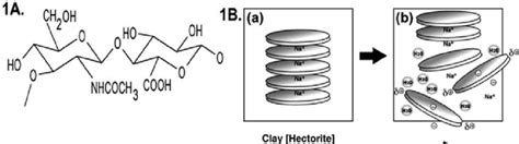 (A) Hyaluronic acid (B) Structure of hectorite and schematic of... | Download Scientific Diagram