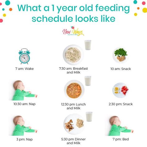 What a 1-Year-Old Feeding Schedule Looks Like | Baby feeding chart ...