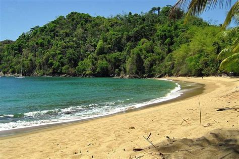 Guide to Tobago | Weather2Travel.com Beach Bars, Tobago, Beautiful Beaches, Caribbean, Paradise ...