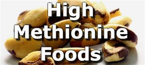 Top 10 Foods Highest in Methionine