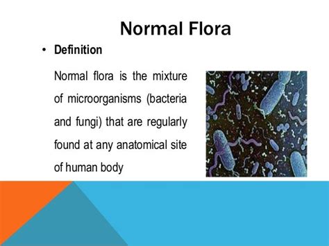 Normal flora of Skin