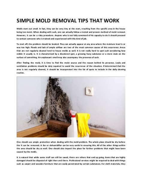 SIMPLE MOLD REMOVAL TIPS THAT WORK