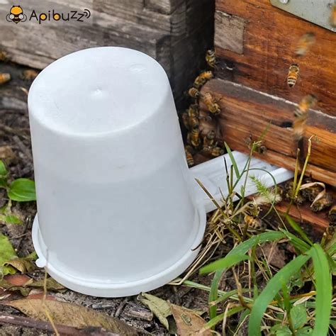 Bucket Hive Entrance Bee Feeder Beekeeping Water Feeding Apiculture Equipment Tool Supplies ...