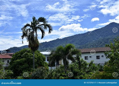 Calamba City, Laguna, Hot Springs Place, PHILIPPINES Stock Image - Image of fauna, crumbly ...