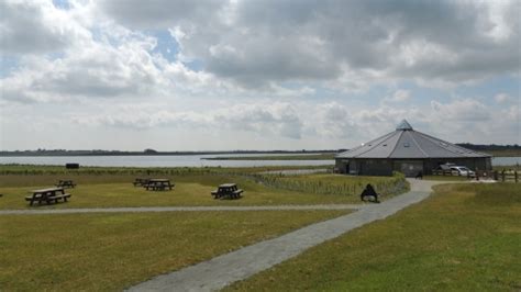 Wildlife Walk: Abberton Reservoir | Essex Wildlife Trust