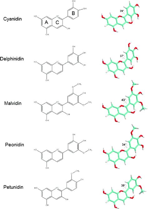 Anthocyanidin chemical structures and spatial conformation. Carbon... | Download Scientific Diagram