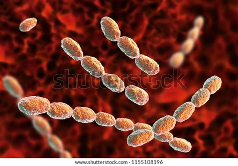 Haemophilus Ducreyi Bacteria 3d Illustration Gramnegative Stock Illustration 1155108196 ...