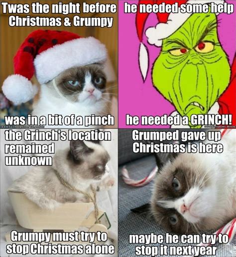 Realgrumpycat | Grumpy and Grinch | holidays | Grumpy cat christmas, Christmas cat memes, Grumpy ...