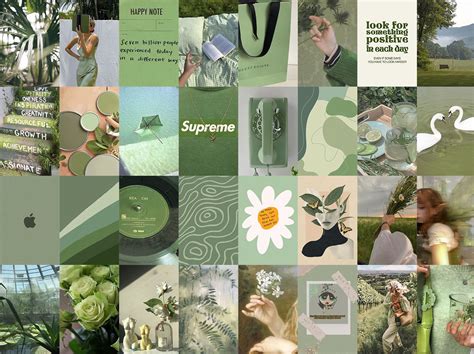 Sage Green Wall Collage Kit Green Aesthetic Wall Collage - Etsy.de