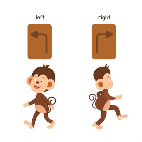 Premium Vector | Opposite left and right vector illustration