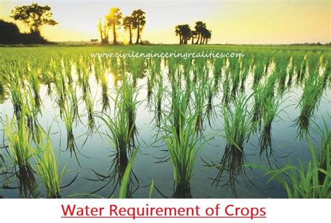 Water Requirement of Crops – Delta and Duty of Water