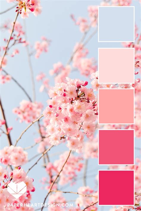 Cherry Blossom Color Palette Design with Hex Codes | Color palette pink ...