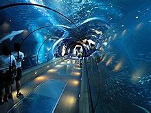 Oregon Coast Aquarium - Wikipedia