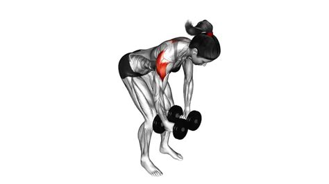 Dumbbell Rear Delt Fly - Video Guide | Lyfta