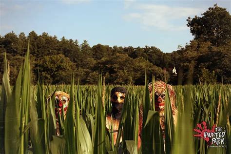 Looking for a Scary Corn Maze? 13 Best Haunted Corn Mazes in the USA