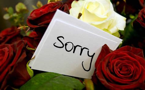 Cute Apology Messages to a Lover with Sorry Images - iLove Messages