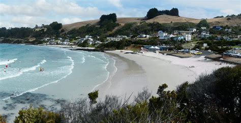 Boat Harbour beach, Tasmania, Australia - Ultimate guide (October 2024)