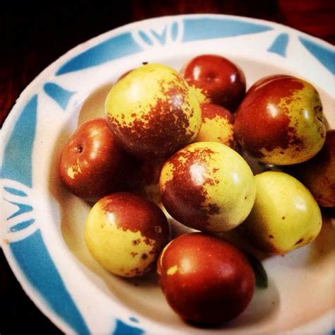 Winter Jujubes 冬棗 | Jujube fruit, Fruit, Chinese fruit