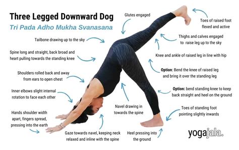 Yoga Tutorial Downward Facing Dog Pose Cute Cartoon V - vrogue.co