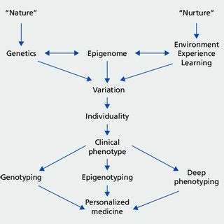 The epigenome as an interface between genes and environment/experience ...