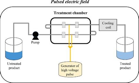 Basic components of the pulsed electric field system. | Download ...