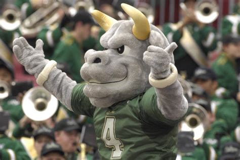 Tampa's USF Campus Unveils New Look With Football Stadium - Q105