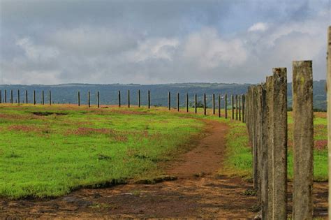 Kas Pathar Satara : When Maharashtra blooms