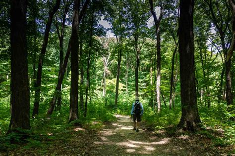 Hiking Nerstrand Big Woods State Park - MN Trips