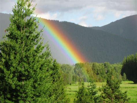 Rainbow--Not Just a Logo--the Sign of God’s Covenant