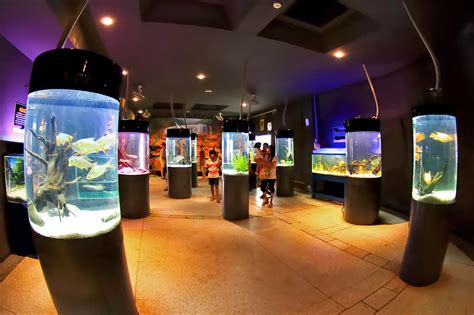 Phuket Aquarium - Educational Family Attraction in Phuket - Go Guides