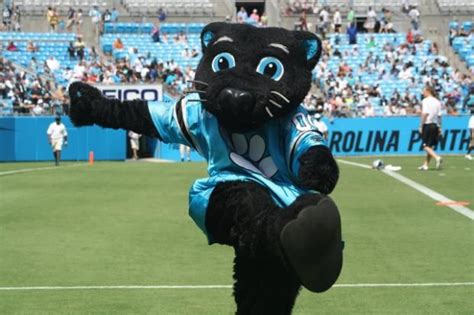 Panther Mascot | Carolina panthers, Team mascots, Panthers