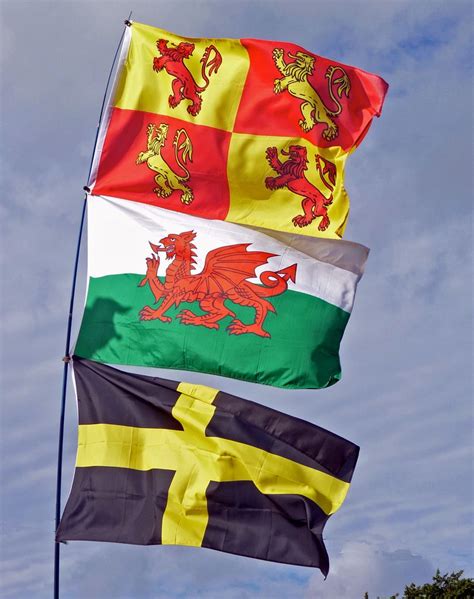 Welsh Symbols, Celtic Symbols, St Davids Flag, Symbol Of Wales, Owain ...