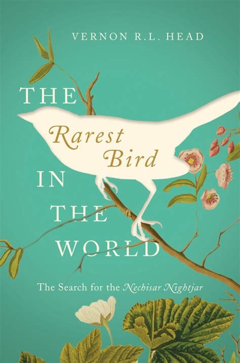 New Book: The Rarest Bird in the World: The Search for the Nechisar Nightjar