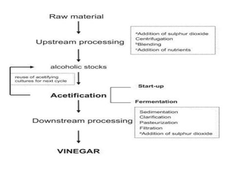 acetic acid production using microbes