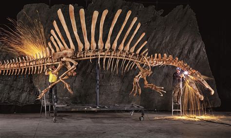 Spinosaurus Surprise: This Dinosaur Could Swim, and That's a First ...