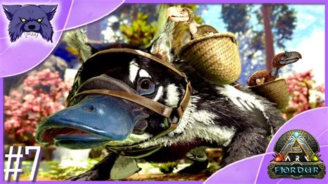 MAEWING pour le BREEDING 🍼 ARK : FJORDUR #07 - YouTube