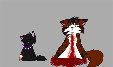 Warriorcats Scourge And Tigerclaw by Daisylewis on DeviantArt