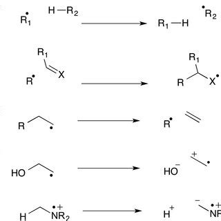 Examples of the major radical reactions found in organic chemistry. A ...