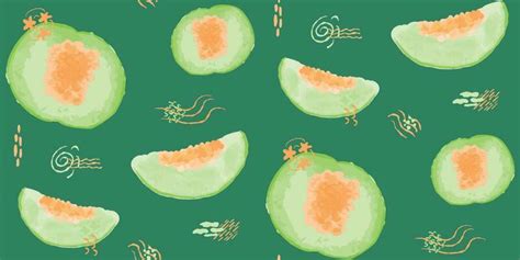 Melon Vector Art, Icons, and Graphics for Free Download