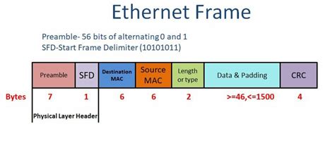 Types and functions of the Network Switch - Explore networkhope.in