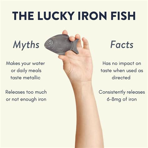 Busting some myths about the Lucky Iron Fish 👊⁠⁠ ⁠⁠ How many of these ...