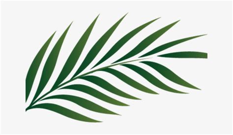 Tropics Clipart Palm Frond - Palm Leaves Png Transparent PNG - 640x480 - Free Download on NicePNG