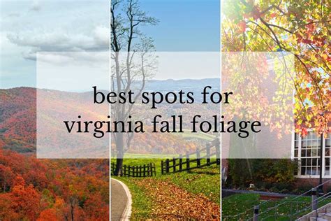 13 Places to See Gorgeous Fall Foliage in Virginia {It's Unforgettable!}