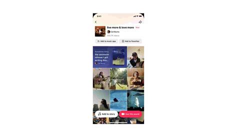 TikTok Artist Account For Musicians